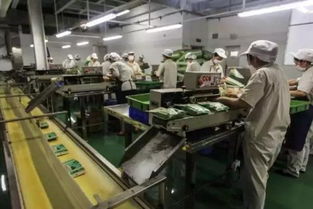 食品機(jī)械科技 驅(qū)動(dòng)食品企業(yè)邁向新時(shí)代的強(qiáng)大引擎